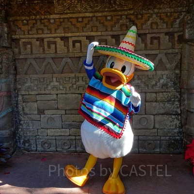 かわいいドナルドに会える！