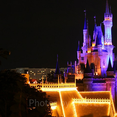 素敵な風景と出会える