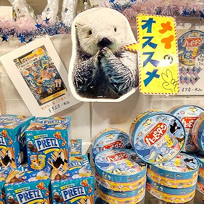 ラッコのメイのおすすめ商品