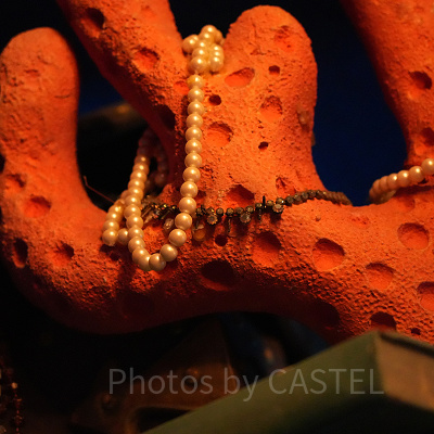 マーメイドラグーン隠れミッキー：アリエルのプレイグラウンド