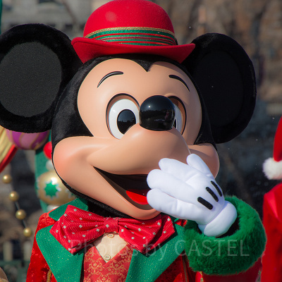 『ミッキーの子だくさん』