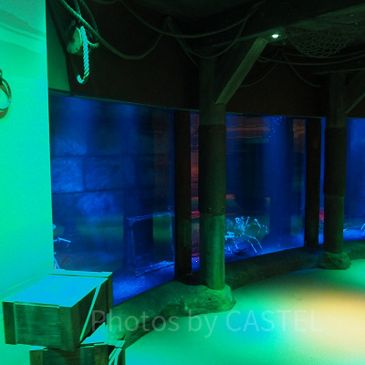 「港」のゾーン