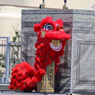 ミニオン・カンフーダンス道場