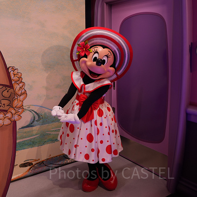 ミニーのスタイルスタジオ