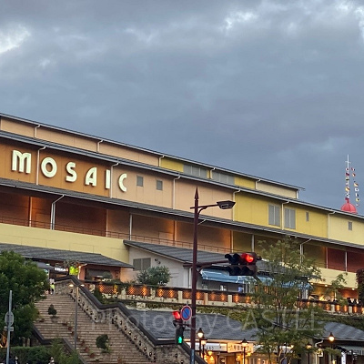 MOSAICの様子