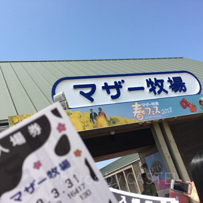 マザー牧場の宿泊施設