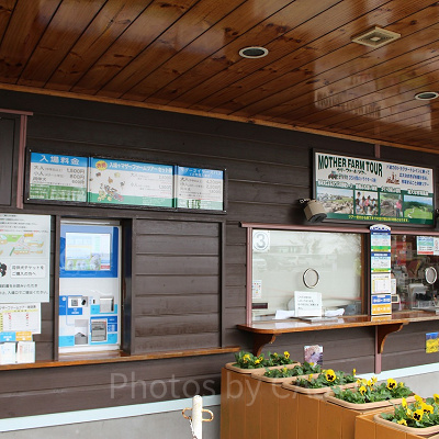 マザー牧場のチケット売り場