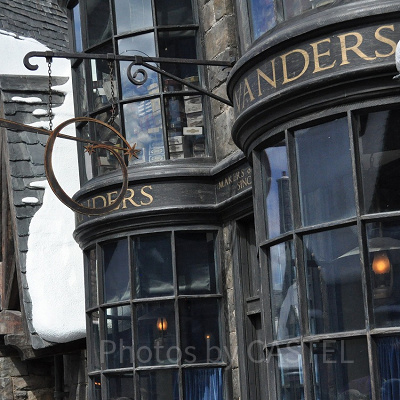 [映画]「ハリー・ポッター」に登場する杖の素材紹介！「杖が魔法使いを選ぶ」といわれる意味を解説！