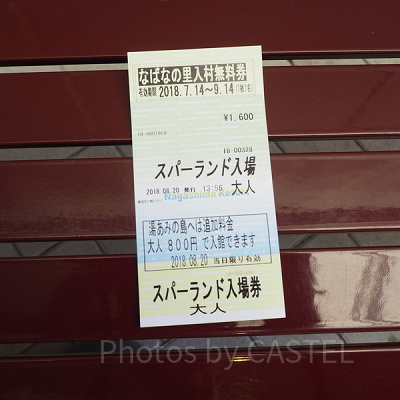 ナガシマスパーランドチケット