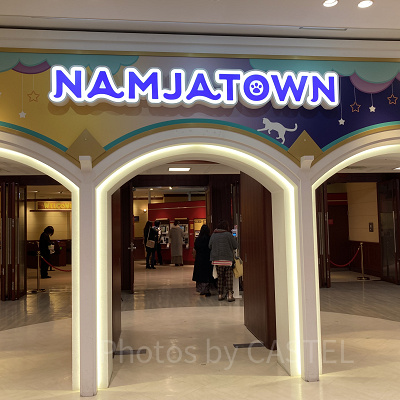 ナンジャタウン