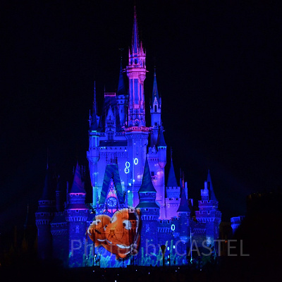 ニモとマーリンの家族愛