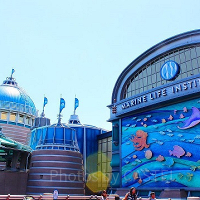 ニモ＆フレンズ・シーライダー