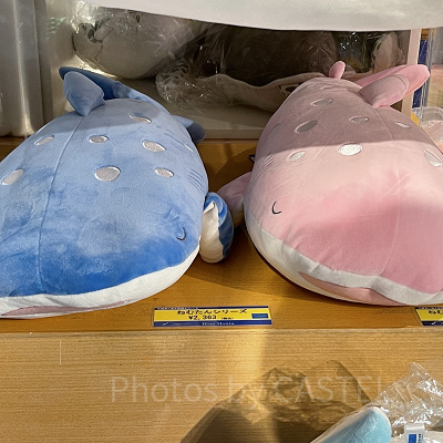 ねむたんぬいぐるみ