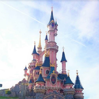 新キャッスルのモデル