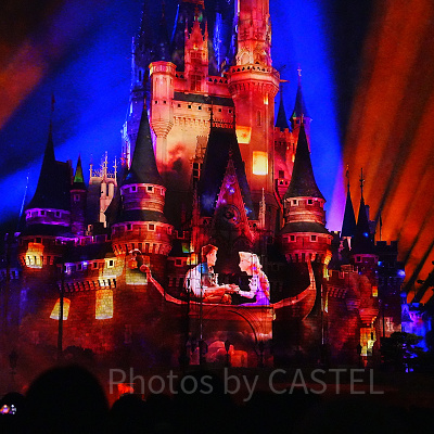 Reach for the Stars（リーチフォーザスターズ）