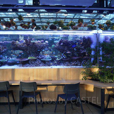 ナイト営業も実施。幻想的なライトアップに癒される。