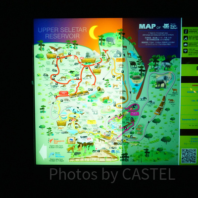 ナイトサファリ：トレイルルートのマップ