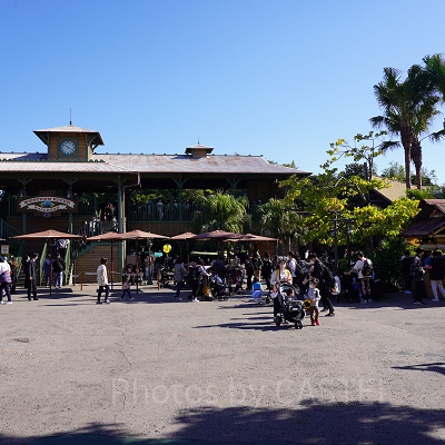 11月ディズニーランド混雑レポ：アドベンチャーランドの混雑状況(9:30頃)