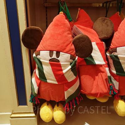 11月ディズニーランド混雑レポ：リルリンリンのブランケット