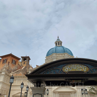 お盆休みディズニー：新アトラクションを楽しむ