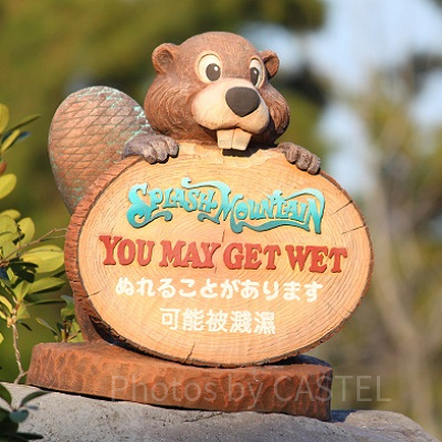 おひとり様は活用必須！