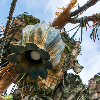 Pandora - The World of Avatar 照明（アニマルキングダム・昼）<br /> 設定：22㎜ SS1/500 F5.0 ISO100