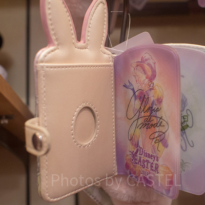 パスケース（開いたところ）