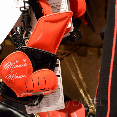 パスケース（表面）