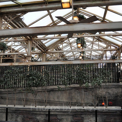 キャッスルウォーク入り口までの通路