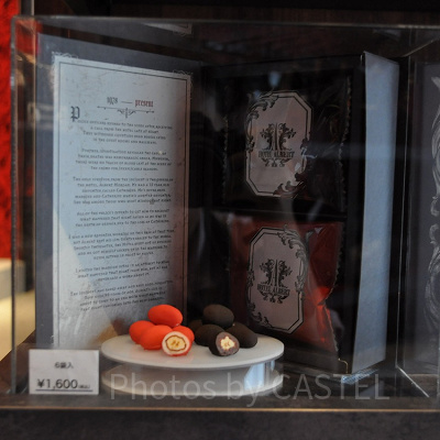 ピーカンチョコ（ブック型パッケージ）