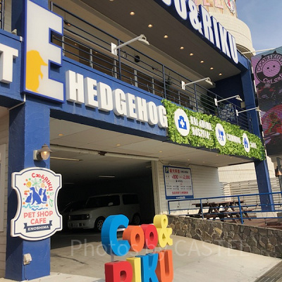 ペットショップとアニマルカフェが併設