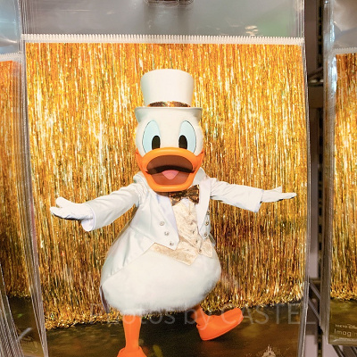 写真（ドナルド）