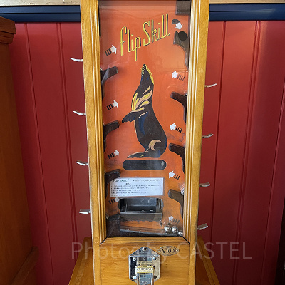 ピンボールゲーム(ペニーアーケード)