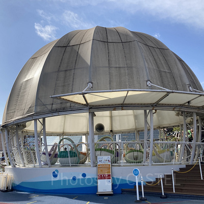 ピクシーカップ