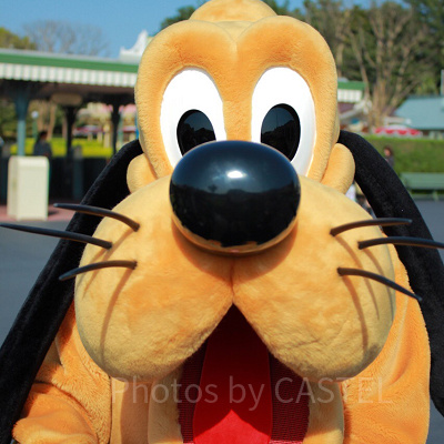 エントランスで出会ったプルート。