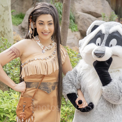 歴代ディズニー映画一覧：『ポカホンタス』