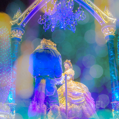 エレクトリカルパレード観賞の注意ポイント