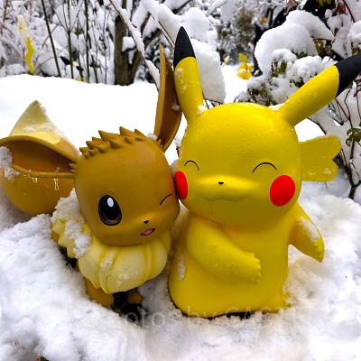 ポケモンフォレストでポケモンの生態を観察！