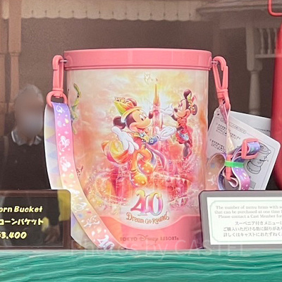 ポップコーンバケット（ディズニー40周年スーベニアグッズ）