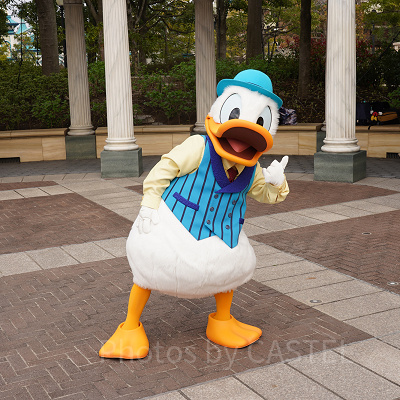 ドナルドが可愛くポーズ