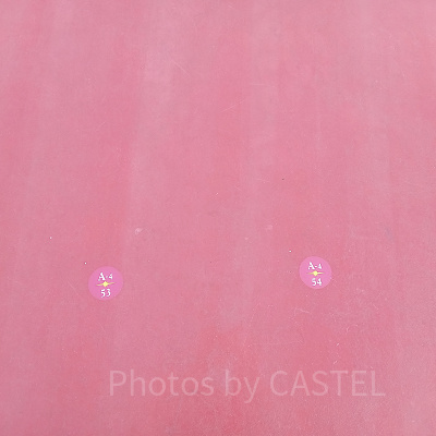 プレミアアクセス鑑賞位置の目印