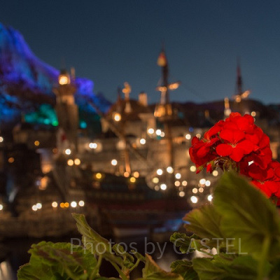 ディズニーシーの夜景を見ながらプロポーズ