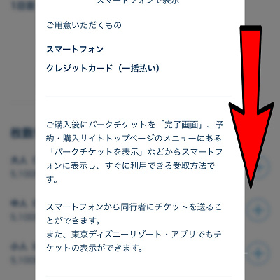 購入手順⑤下にスクロールして「確認した」をタップ