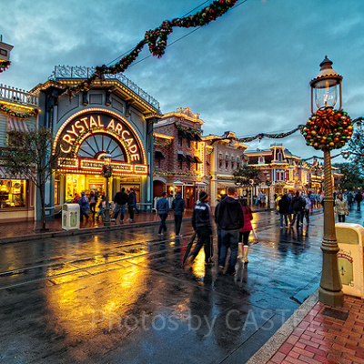 雨のディズニー