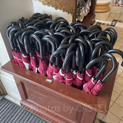 雨の日ディズニーに持って行きたいレイングッズ