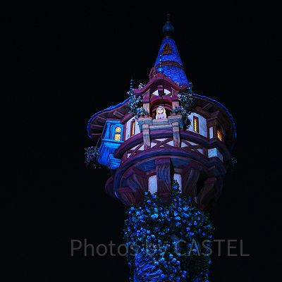 夜のラプンツェルのランタンフェスティバル