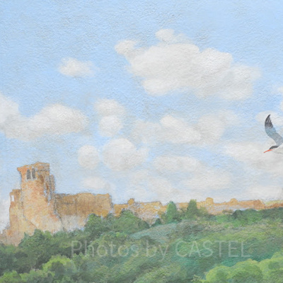 「ソアリン」の人気の理由①：まるで“本当に飛んでいる”ような体験