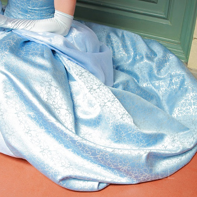 ディズニーのおすすめコスプレ