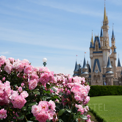 【結論】子連れディズニーにおすすめの季節・時期3選！