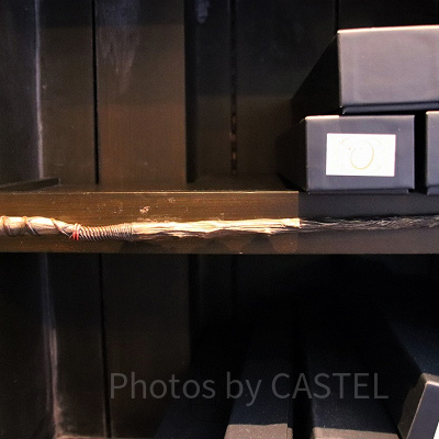 アシ（10/28～11/24）